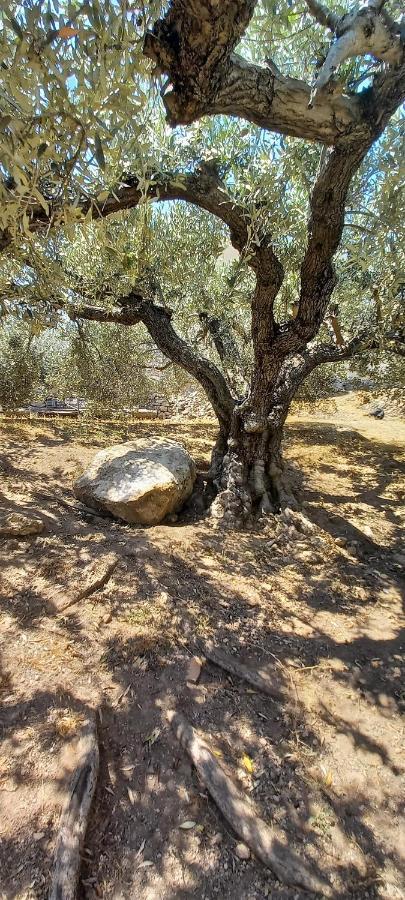 The Byzantine Wall House Isthmia Exterior photo